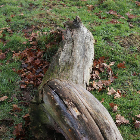 Gathering [Logs]