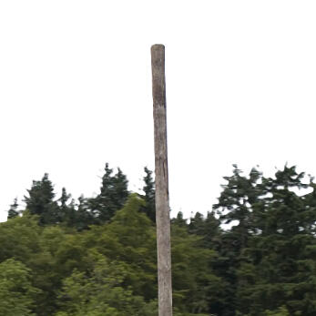 Caber