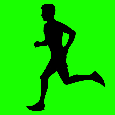 Scout [Run through]