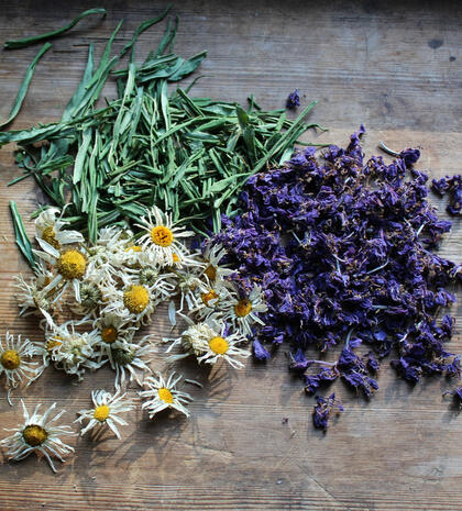 Gathering [Herbs]
