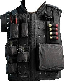 FBI SWAT vest