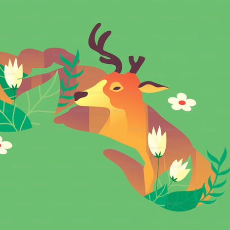 Scout [Flora and Fauna]