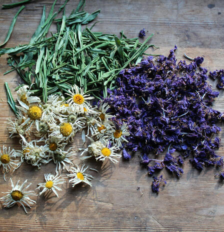 Gathering [Medicinal herbs]